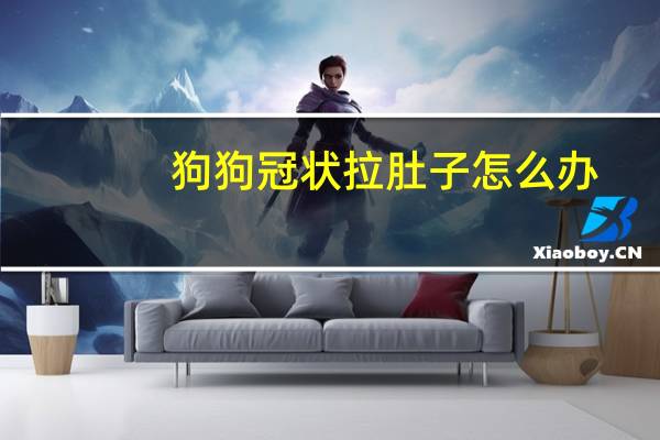 狗狗冠状拉肚子怎么办