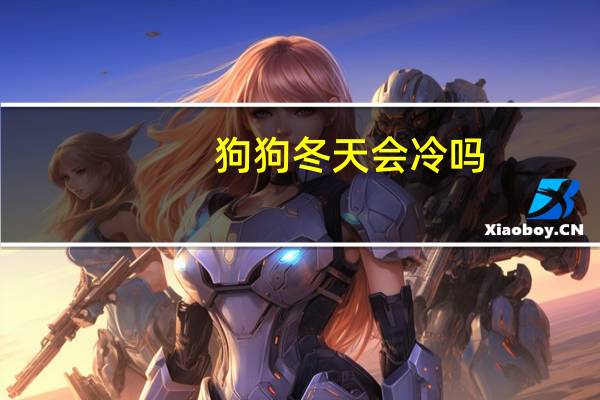 狗狗冬天会冷吗