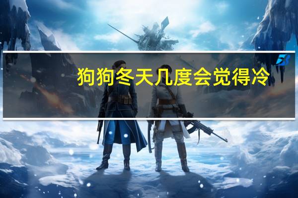 狗狗冬天几度会觉得冷
