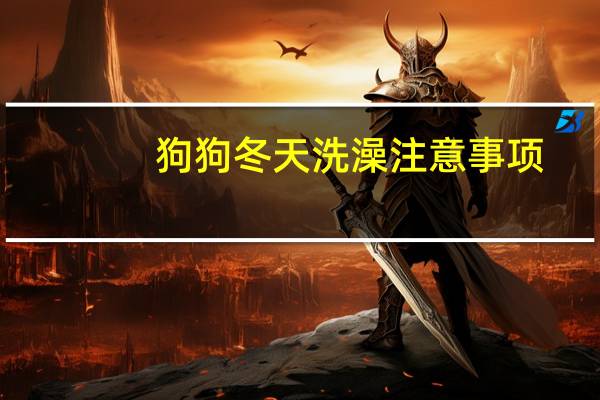 狗狗冬天洗澡注意事项