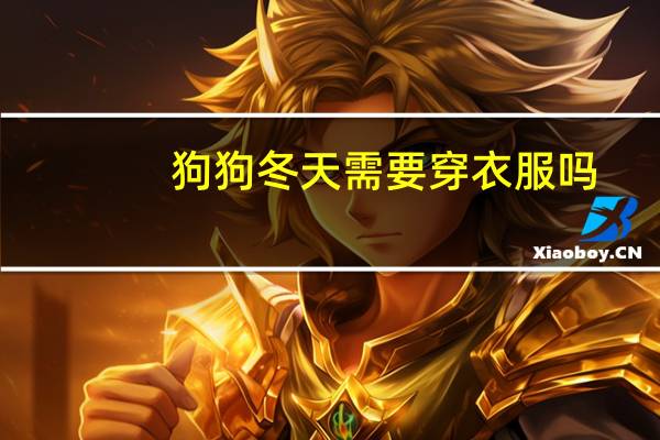 狗狗冬天需要穿衣服吗