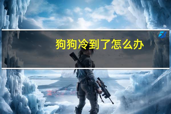 狗狗冷到了怎么办