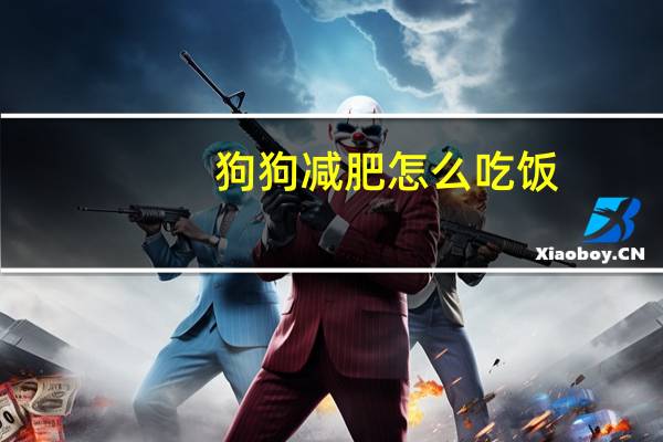 狗狗减肥怎么吃饭