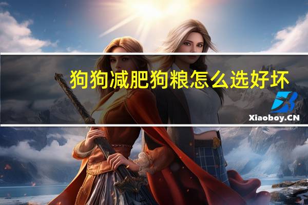 狗狗减肥狗粮怎么选好坏