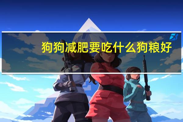 狗狗减肥要吃什么狗粮好