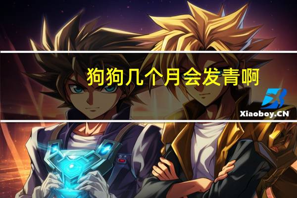狗狗几个月会发青啊