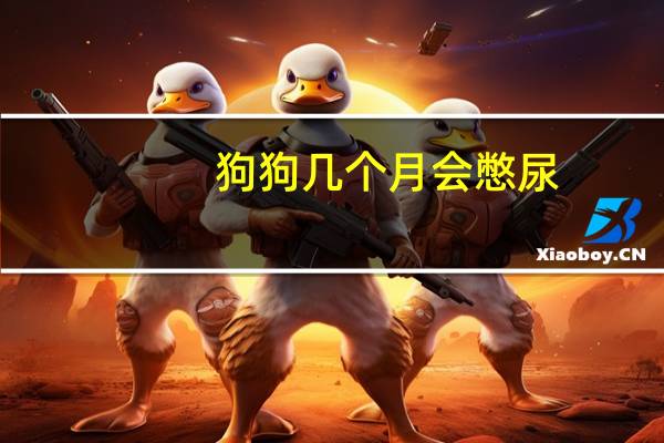 狗狗几个月会憋尿