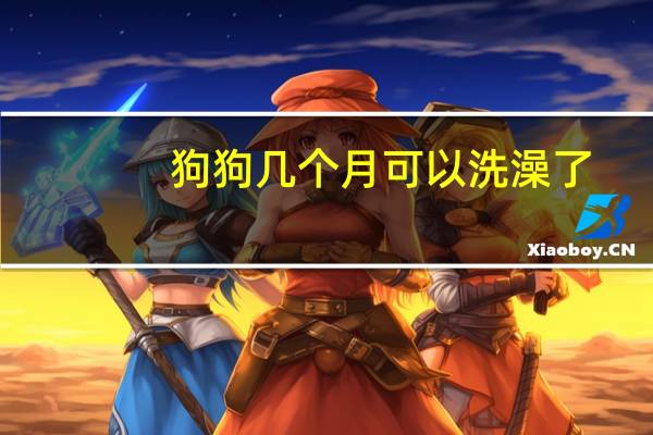 狗狗几个月可以洗澡了