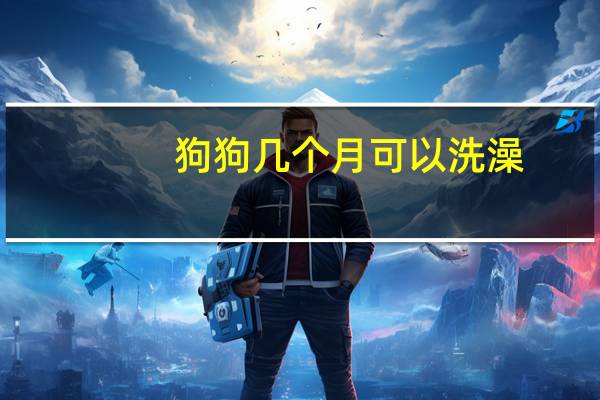 狗狗几个月可以洗澡