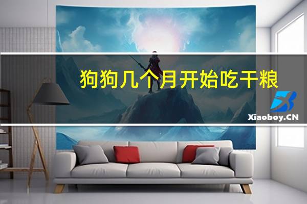 狗狗几个月开始吃干粮