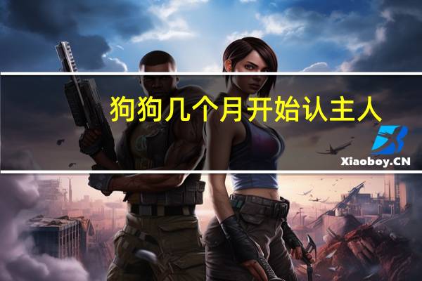 狗狗几个月开始认主人