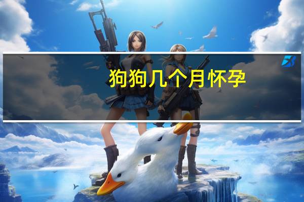 狗狗几个月怀孕