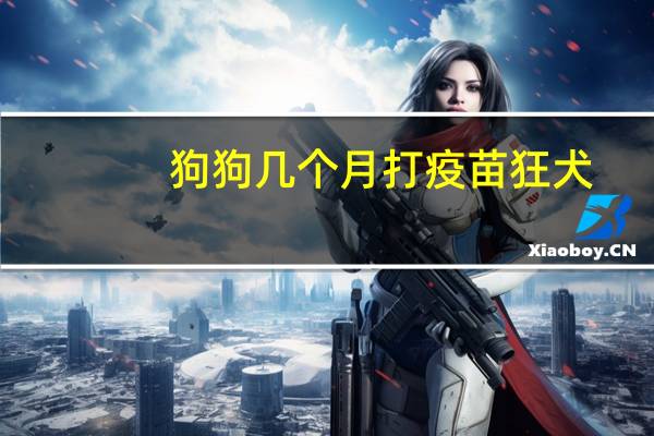狗狗几个月打疫苗狂犬