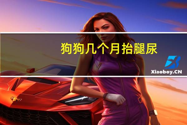 狗狗几个月抬腿尿