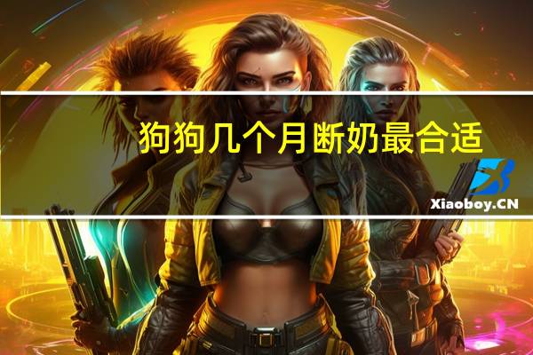 狗狗几个月断奶最合适