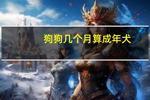 狗狗几个月算成年犬