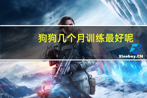狗狗几个月训练最好呢