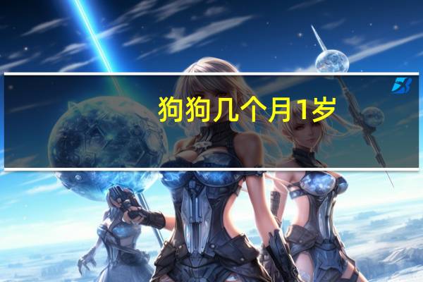 狗狗几个月1岁