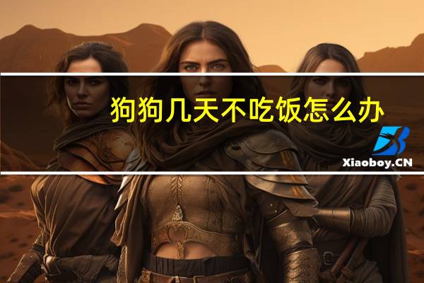 狗狗几天不吃饭怎么办