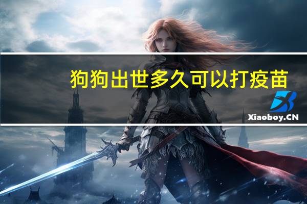 狗狗出世多久可以打疫苗
