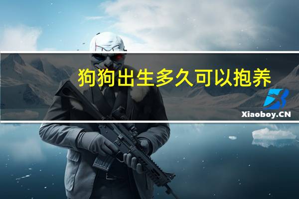 狗狗出生多久可以抱养