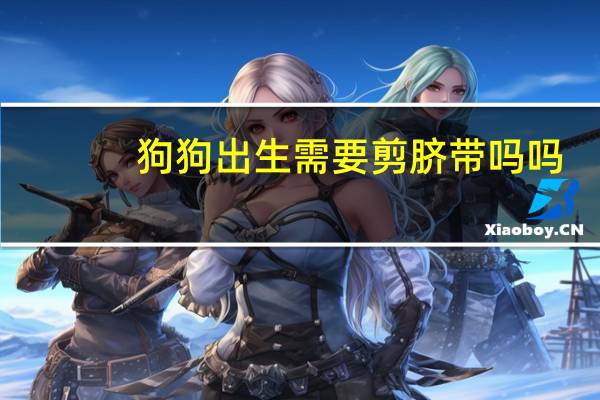 狗狗出生需要剪脐带吗吗