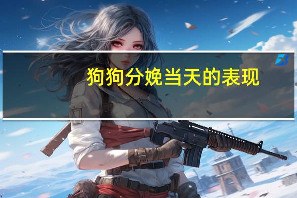 狗狗分娩当天的表现