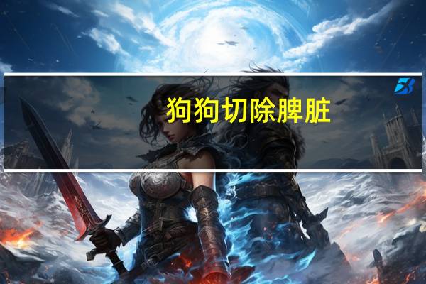 狗狗切除脾脏