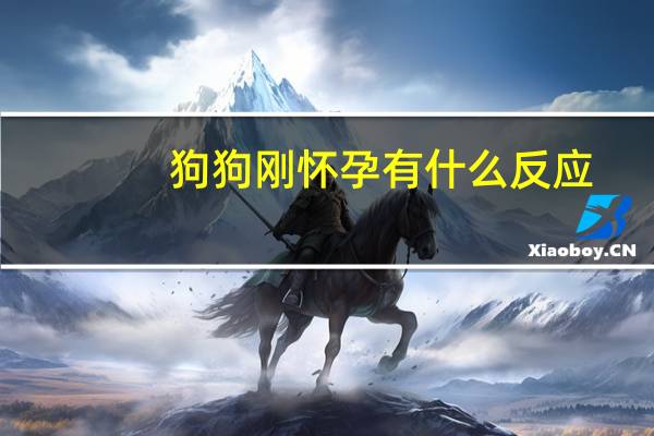 狗狗刚怀孕有什么反应