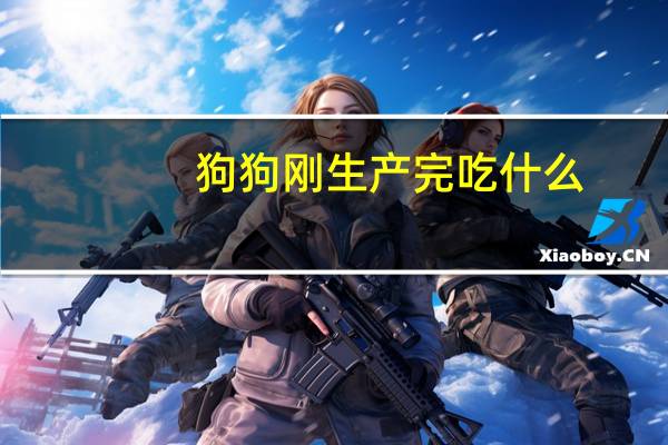 狗狗刚生产完吃什么