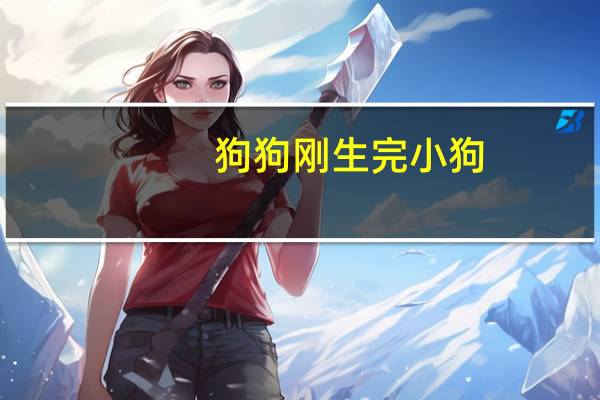 狗狗刚生完小狗