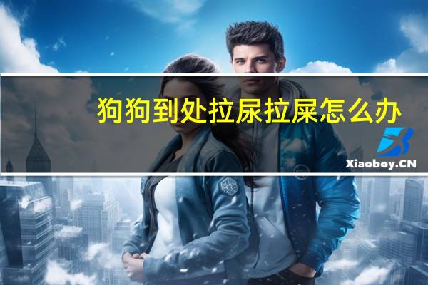 狗狗到处拉尿拉屎怎么办