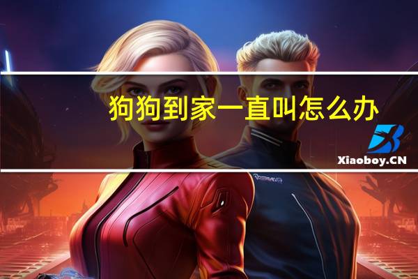 狗狗到家一直叫怎么办