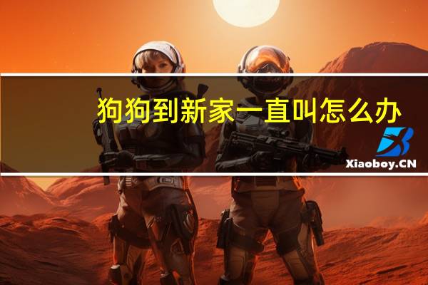 狗狗到新家一直叫怎么办