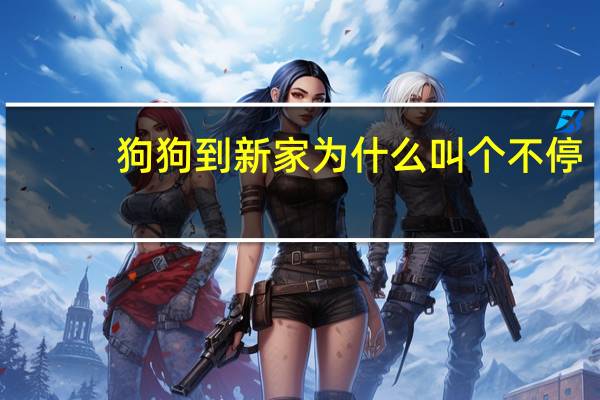 狗狗到新家为什么叫个不停