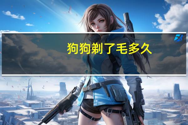 狗狗剃了毛多久