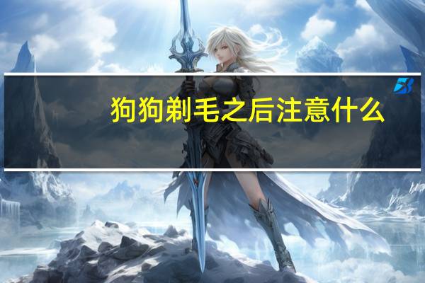 狗狗剃毛之后注意什么