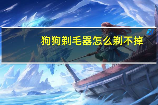 狗狗剃毛器怎么剃不掉