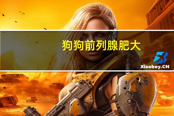 狗狗前列腺肥大