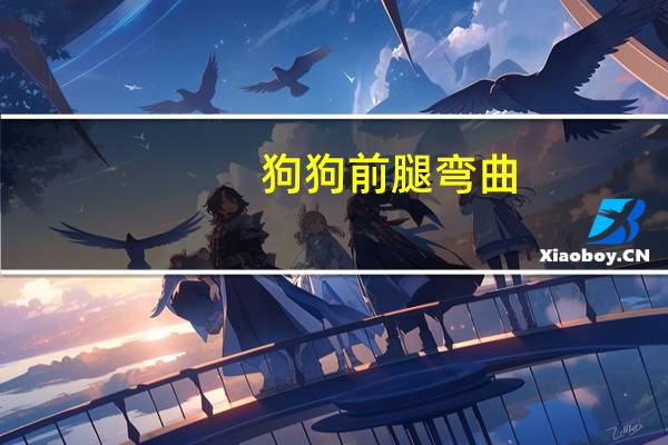 狗狗前腿弯曲