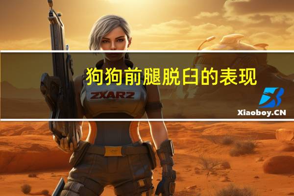 狗狗前腿脱臼的表现