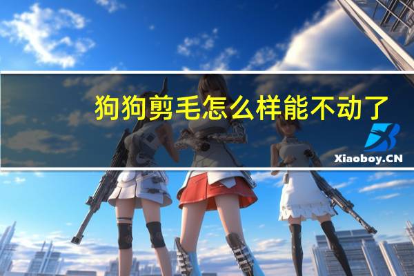 狗狗剪毛怎么样能不动了