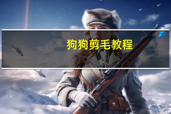 狗狗剪毛教程