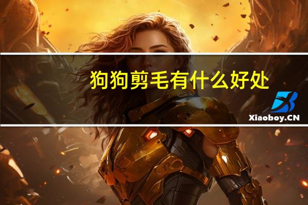 狗狗剪毛有什么好处