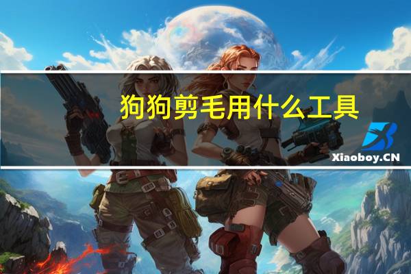 狗狗剪毛用什么工具