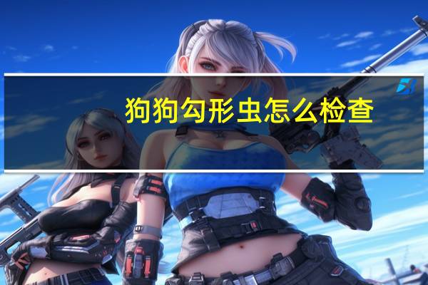 狗狗勾形虫怎么检查