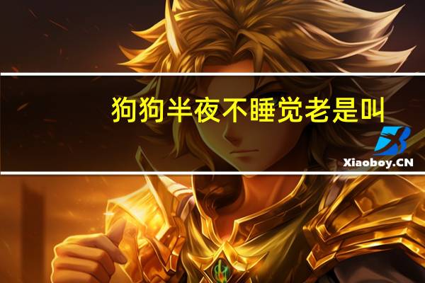 狗狗半夜不睡觉老是叫