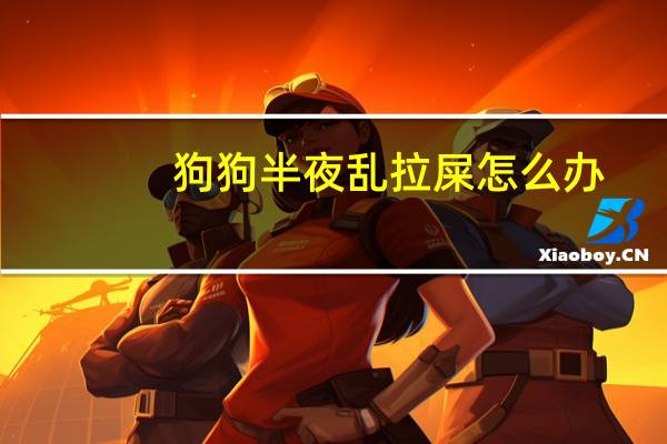 狗狗半夜乱拉屎怎么办
