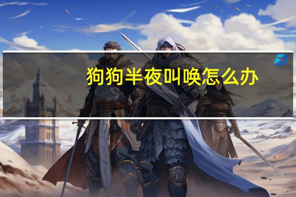 狗狗半夜叫唤怎么办