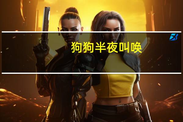 狗狗半夜叫唤